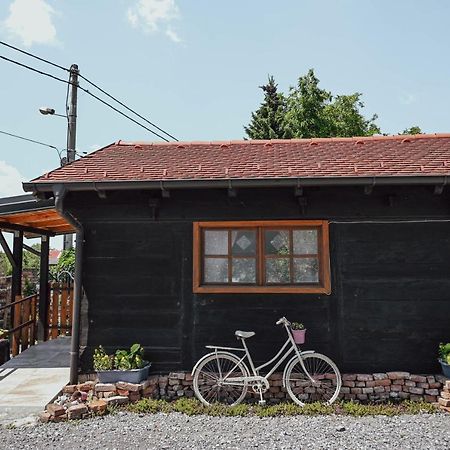 Studio Apartment Romeo Velika Gorica Dış mekan fotoğraf