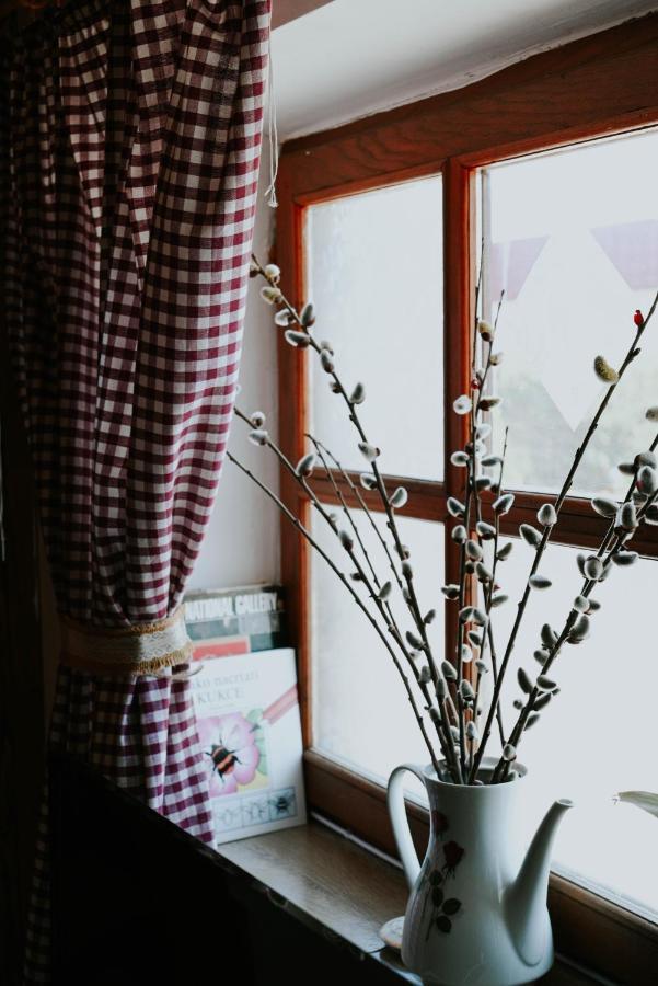 Studio Apartment Romeo Velika Gorica Dış mekan fotoğraf